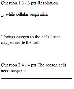 Chapters 6 and 7 Quiz